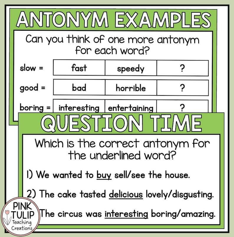 Antonyms Grammar Powerpoint - Guided Teaching - Etsy