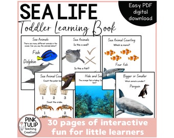 Toddler Learning Book - Sea Life