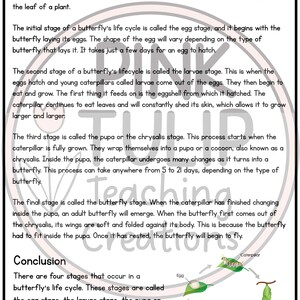 Explanation Text - the Lifecycle of a Butterfly - Etsy