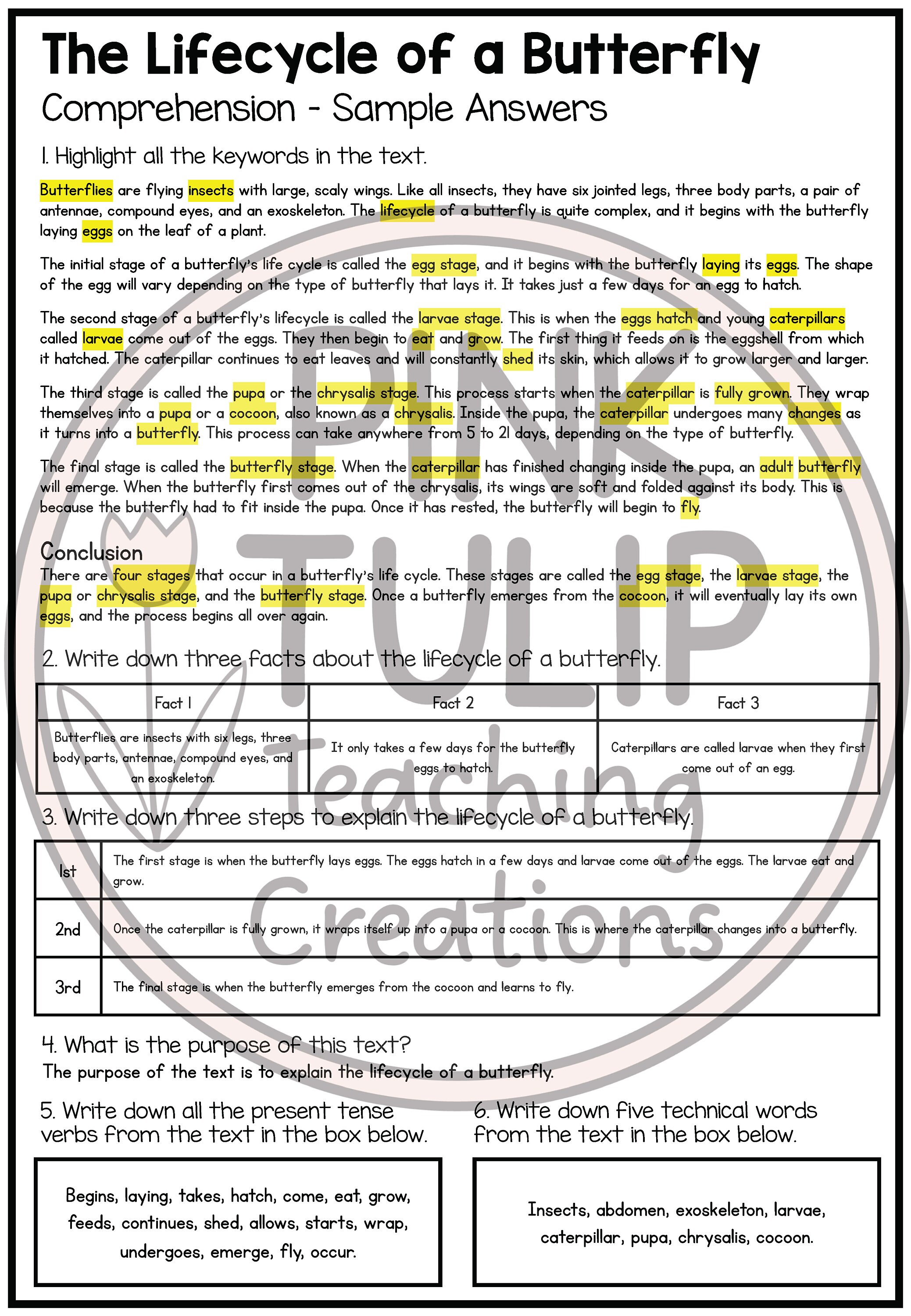 Explanation Text - the Lifecycle of a Butterfly - Etsy