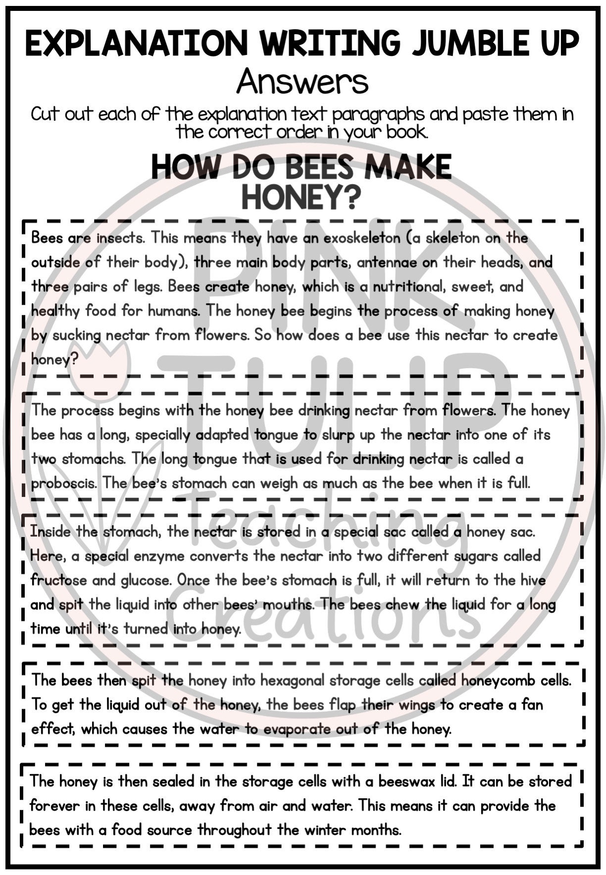 Jumbled Paragraph Examples Explanation Writing - Paragraph Jumble Up - Etsy
