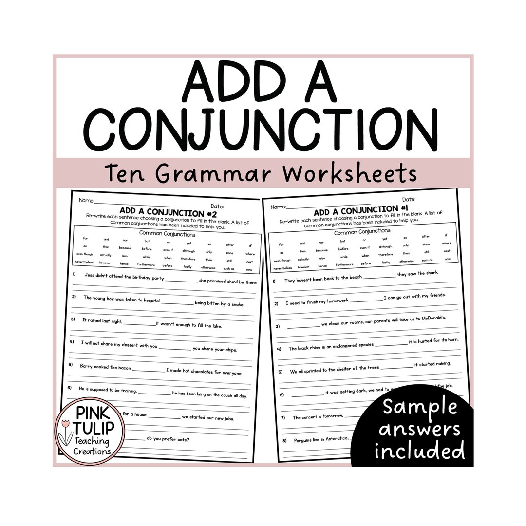 Dama worksheet  Live Worksheets