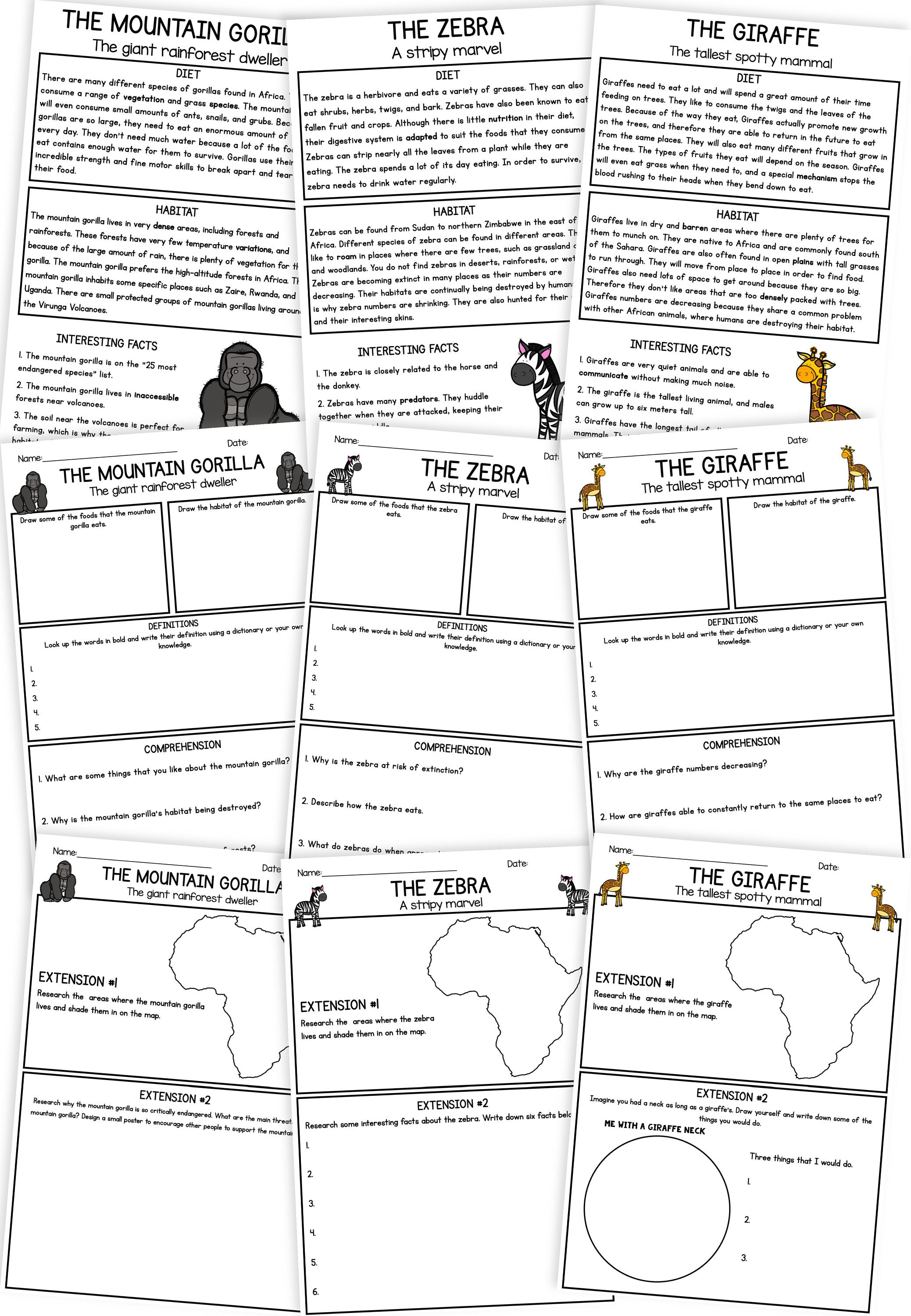 African Animals - Reading Comprehension Pack - Etsy