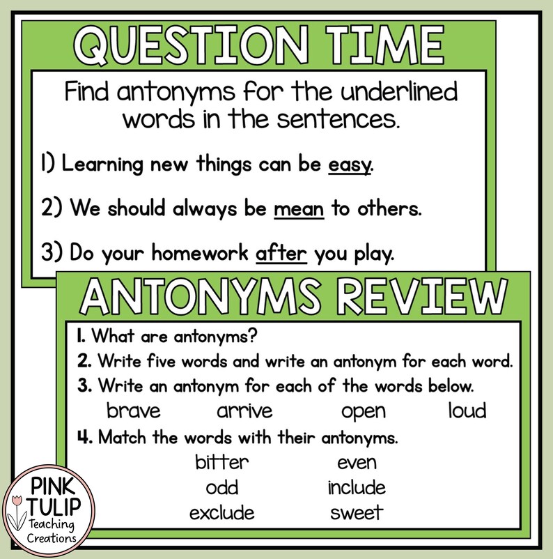 Antonyms Grammar Powerpoint - Guided Teaching - Etsy