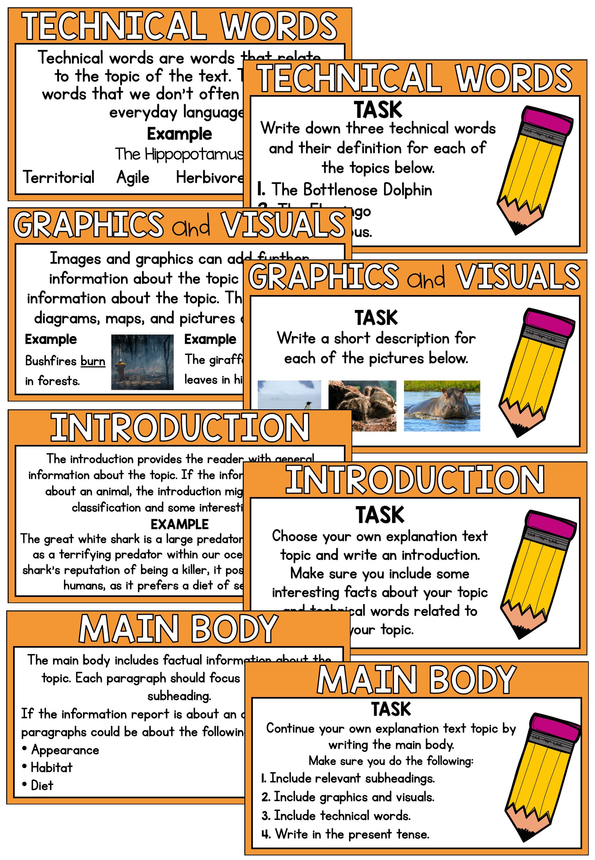 Information Text Reading Writing Powerpoint Presentation Guided