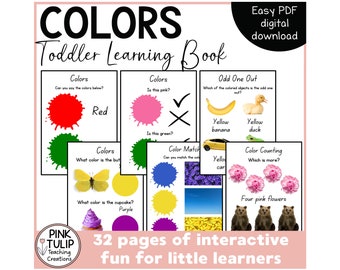 Toddler Learning Book - Colors (Colours)