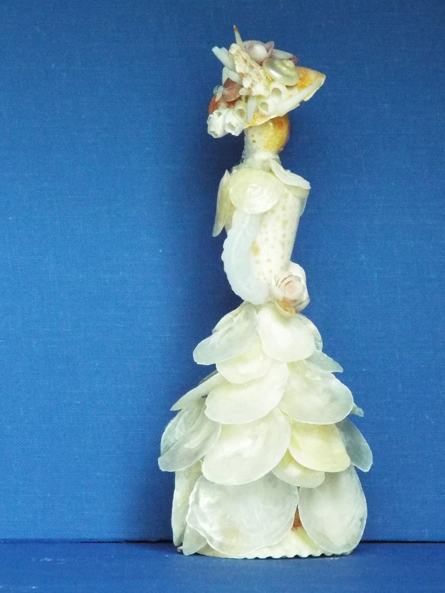 Seashell White Jingle Lady - Etsy