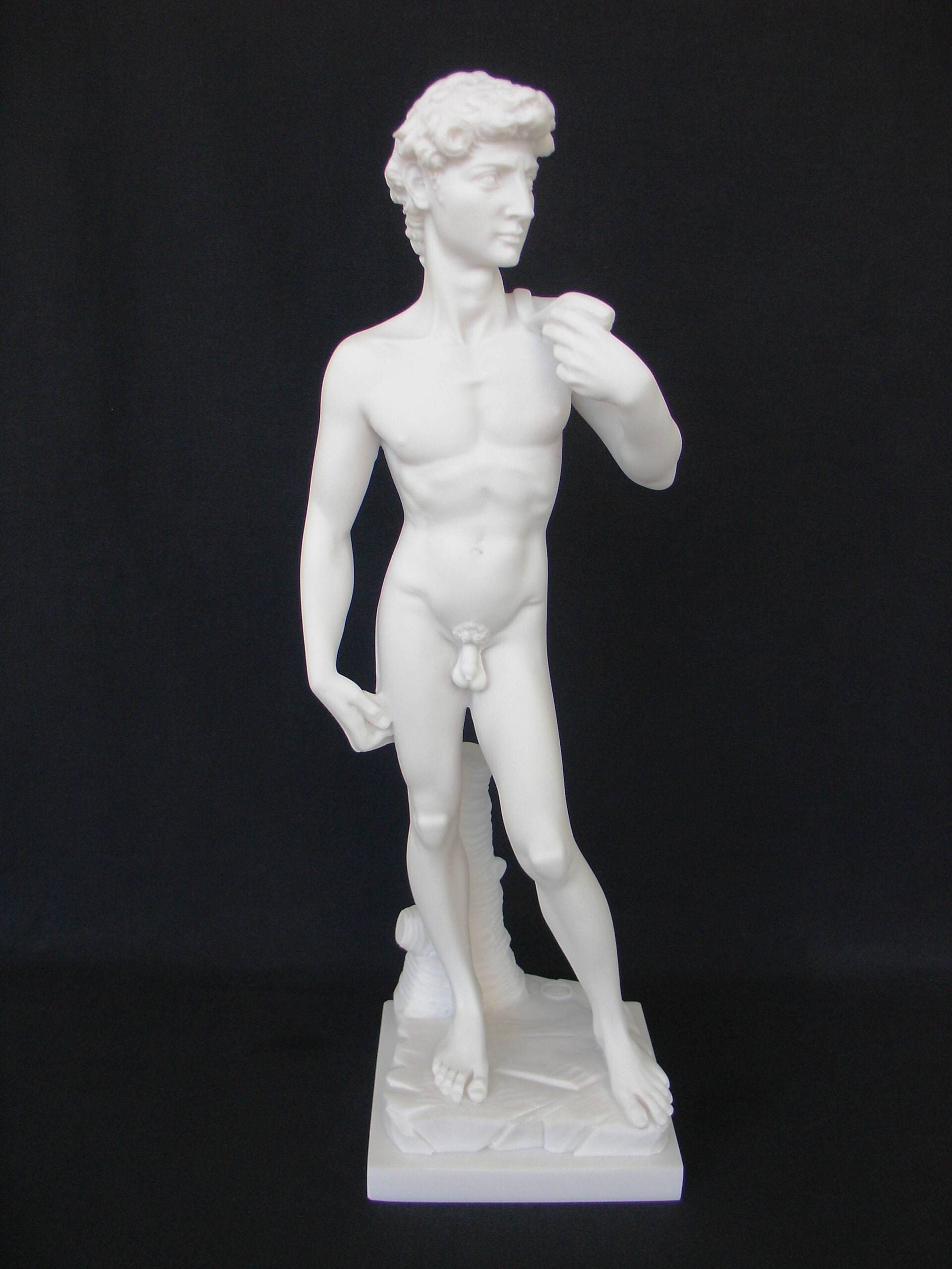 10 Inch Michelangelo's David Nude Replica Resin Figure Figurine Home Decor 10 Inch Michelangelo's David Nude Replica Resin Figure Figurine Home Decor