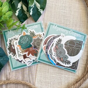 Mystery Oopsie Waterproof Vinyl Sticker Pack (10 Stickers)