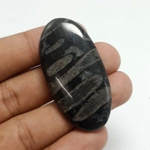 Natural Black Fossil Cabochon, Unique Fossilized Gemstone For Jewelry Making, Healing Crystal, Natural Black Fossil, Gift For Crystal Lover