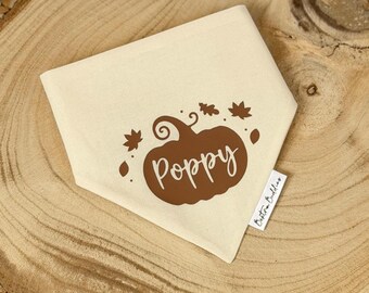 Pumpkin Dog Bandana, Custom Name Neutral Pet Accessory for Autumn