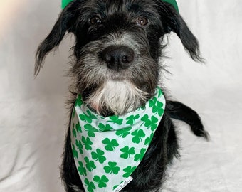 St Patrick's Day Dog Bandana: Shamrock Irish Petwear