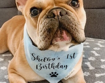 Personalised Birthday Dog Bandana: Custom Text, Over Collar or Snap