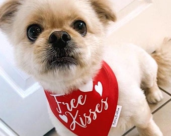 Free Kisses Bandana, Valentine's Day Pet Accessory, Photoshoot Cat Bandana, Over The Collar, Snap Fastening