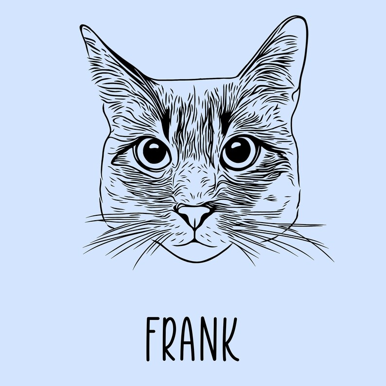 May include: A black and white line drawing of a cat's face with the name "FRANK" written below.
