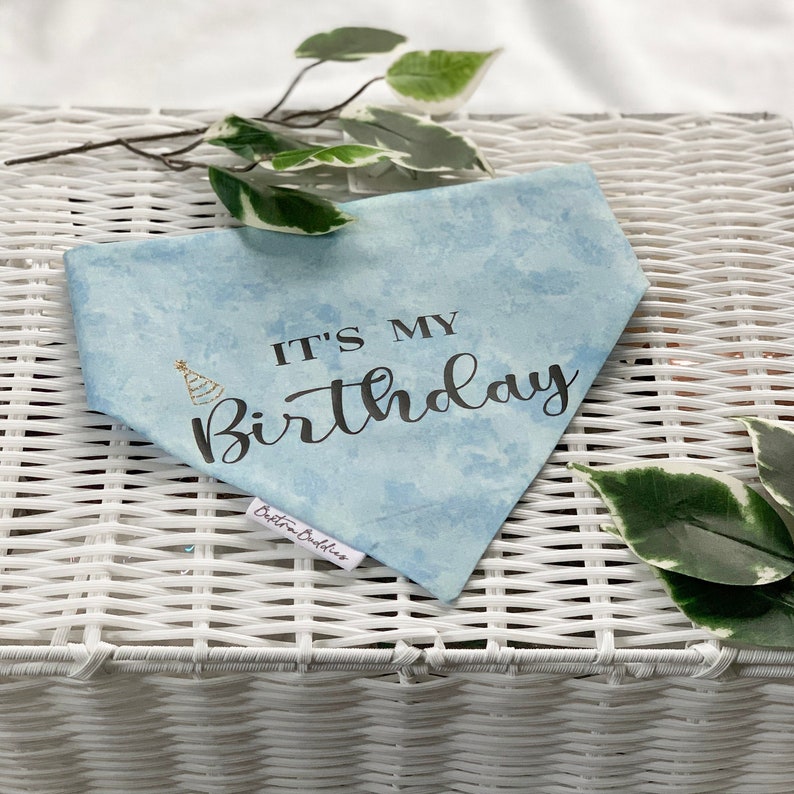 May include: A light blue bandana with a white tie-dye pattern. The bandana has the text "It's My Birthday" printed in black with a gold party hat graphic.