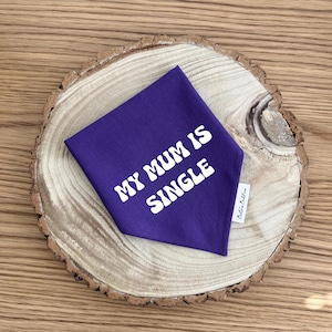 K&ouml;nnte beinhalten: Ein violettes, dreieckiges Haustierhalstuch mit dem wei&szlig;en Text MY MUM IS SINGLE in einer fetten, wellenf&ouml;rmigen Schriftart. Ein kleines wei&szlig;es Stoffetikett mit schwarzem Text ist an der rechten Seite des violetten Stoffes befestigt.