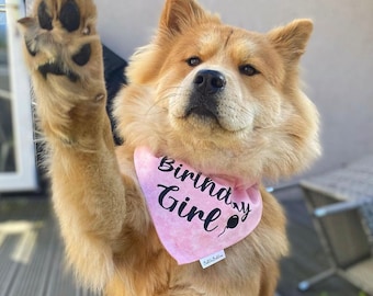 Birthday Girl Dog Bandana, Over-the-Collar or Snap-Fastening, Handmade Pink Cotton Pet Gift