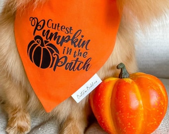 Cutest Pumpkin Dog Bandana, Autumn Fall Pet Accessory, Cute & Spooky, Over the Collar or Snap Fastening
