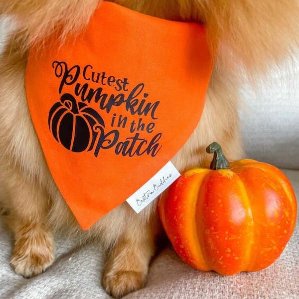 Cutest Pumpkin Dog Bandana | Autumn Fall Pet Accessory | Cute & Spooky Pet Accessory | Over the Collar or Snap Fastening