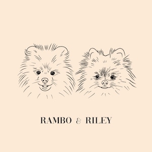 May include: Line drawing of two Pomeranian dogs, one named Rambo and the other named Riley.