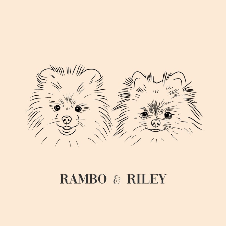 May include: Line drawing of two Pomeranian dogs, one named Rambo and the other named Riley.