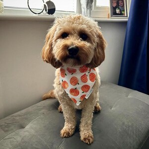 Pumpkin Patch Dog Bandana, Autumn Dog Bandana, Fall Halloween Bandana, Pet Neckwear, Puppy Accessory bild 7