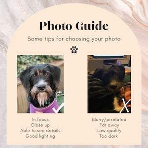 May include: Two photos of a dog, one in focus and well-lit, the other blurry and dark. The photo on the left is a good example of a photo to use for a custom portrait, while the photo on the right is a bad example.