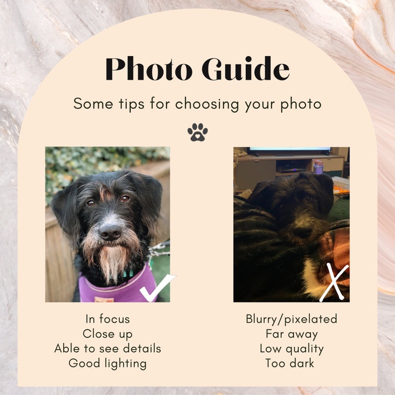 May include: Two photos of a dog, one in focus and well-lit, the other blurry and dark. The photo on the left is a good example of a photo to use for a custom portrait, while the photo on the right is a bad example.