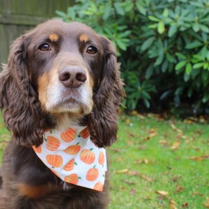 Pumpkin Patch Dog Bandana, Autumn Dog Bandana, Fall Halloween Bandana, Pet Neckwear, Puppy Accessory bild 4