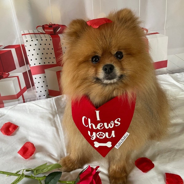 Valentines Dog Bandana- I Chews You, Heart Breaker, Free Kisses, Happy Valentine's Day, Cuter than Cupid | Red Pet Accessory
