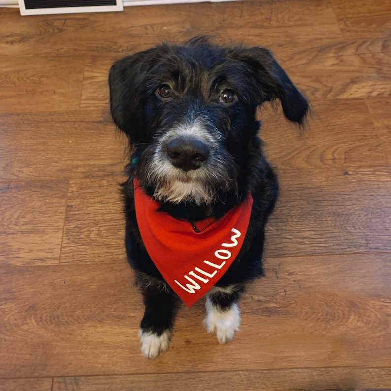 Name ADD-ON for personalised dog bandanas