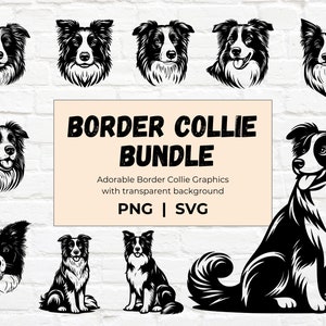Border Collie SVG Bundle, Sitting dog clip art transparent PNG, Dog portrait cut file vector graphic for crafts cricut cutting machine