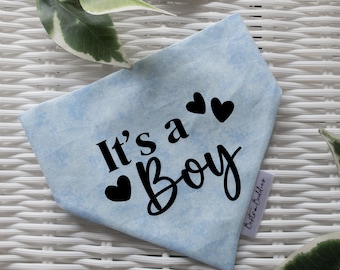 It's a Boy Dog Bandana: Blue Gender Reveal Pregnancy Announcement Pet Accessory