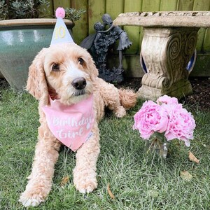 May include: A light brown dog wearing a pink bandana with the text "Birthday Girl" and a white party hat with the number "10" on it. The dog is sitting in a grassy area with pink flowers in a vase.