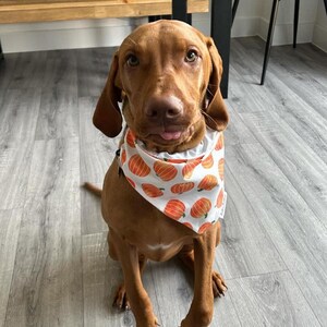 Pumpkin Patch Dog Bandana, Autumn Dog Bandana, Fall Halloween Bandana, Pet Neckwear, Puppy Accessory bild 15