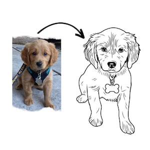 Pet Outline Drawing | Personalized Line Drawing | Illustration from photo | Gift for Dog Lover | Digital Art File