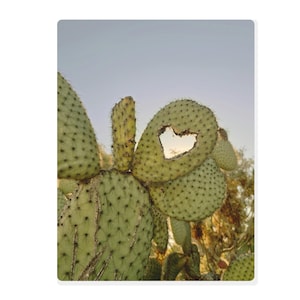 Prickly Pear Cactus Photograph, Cactus Wall Art, Minimalist Wall Art, Boho Decor, Printable Wall Art, Digital Download