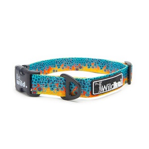 May include: A blue, orange, and yellow dog collar with a black buckle and a Wildkai logo. The collar has a "Be Wild." text on the buckle.
