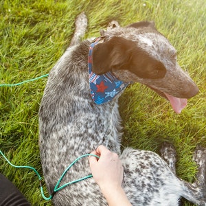 Ultralight: The Original Ultra-Lightweight Adventure Dog Leash, Backpacking or Hiking Leash, Strong Dyneema Leash