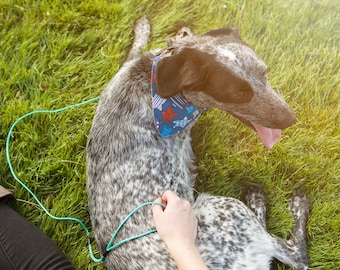 Ultralight: The Original Ultra-Lightweight Adventure Dog Leash, Backpacking or Hiking Leash, Strong Dyneema Leash