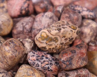 30 x 40 Cab. 30mm x 40mm Leopard Skin Jasper Cabochon