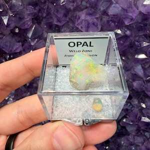 May include: A clear plastic display box containing a raw, iridescent Welo opal specimen and a smaller, polished oval opal cabochon. A white label inside the box reads OPAL WELO ZONE AMHARA REGION. The box sits on a bed of white textured material.