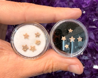 Crinoid Stars - Pack of 5