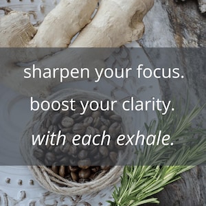 Focus MONQ Diffuser image 4