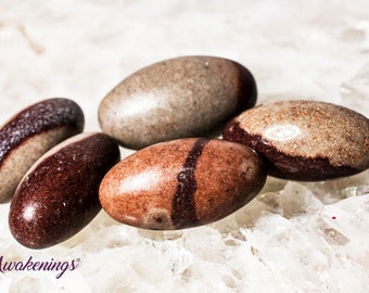 Shiva Lingam - Pulido - 1 piedra