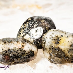 Triplite Wagnerite in Pyrite - Tumbled