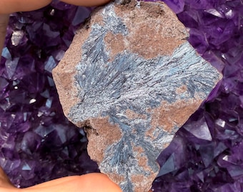 May include: A hand holds a rock fragment with a brown matrix and a striking pattern of blue-gray, needle-like crystals. The background is a cluster of deep purple amethyst crystals, creating a contrast of textures and colors.
