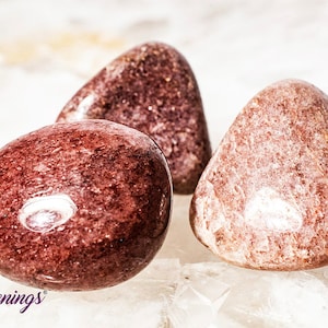 May include: Three tumbled stones of red jasper, each with a unique shape and pattern. The stones are smooth and polished, with a subtle sheen.