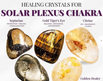 その他 SOLAR PLEXUS SYSTEM 1.18 DVD il_340x270.4977247670_ljkl.jpg